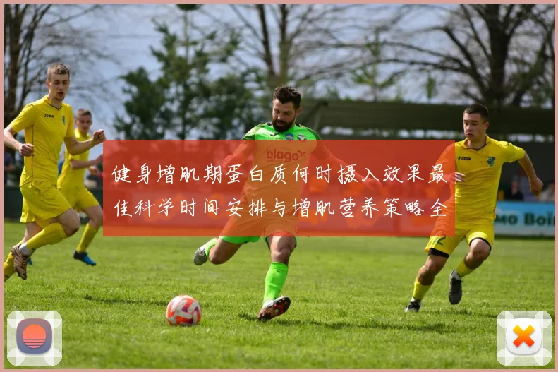 健身增肌期蛋白质何时摄入效果最佳科学时间安排与增肌营养策略全解析