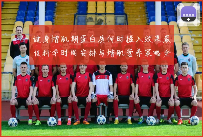 健身增肌期蛋白质何时摄入效果最佳科学时间安排与增肌营养策略全解析
